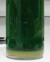 Coolant color?-untitled.jpg