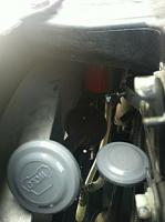 Whats up with my horn?-img_0991.jpg