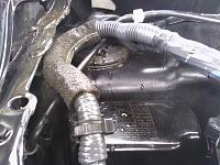 Water inside water-proof connectors next to IPDM/fender apron-img_20130223_105611.jpg