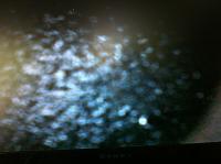 Need advise on pinpointing oil consumption-img_1548.jpg