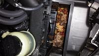 Hesitation, sputter, stumble!-20130724_205647.jpg