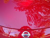 Front Bumper/Hood Paint Chip Repair-hood.jpg