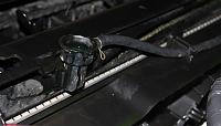 Coolant is leaking... Possible Water Pump?-blown-radiator.jpg