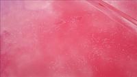 Please Help with these white spots on-4.jpg