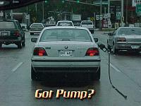 Keep this post alive-pumpa.jpg