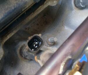 Oil in injectors connector ?!!!-9hljowy.jpg
