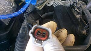 Oil in injectors connector ?!!!-rvrgkji.jpg
