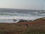This is why I bought my ZR....-dsc00143.jpg
