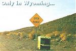 Random Pics..Your Z, other toys, kids, girlfriend, wife, your self....-openrange.jpg