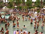 Random Pics..Your Z, other toys, kids, girlfriend, wife, your self....-vegas-030.jpg