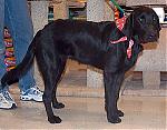 new female in my life...pics.-al61.jpg