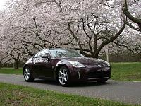 Brickyard and Cherry Blossoms...-smdscn0341.jpg