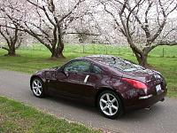 Brickyard and Cherry Blossoms...-smdscn0344.jpg