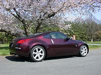 Brickyard and Cherry Blossoms Revisited...-smdscn0369.jpg