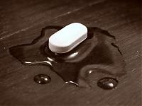Random Pics..Your Z, other toys, kids, girlfriend, wife, your self....-dsc02260.jpg