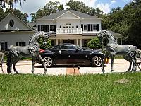 Random Pics..Your Z, other toys, kids, girlfriend, wife, your self....-the-everything-page-008.jpg