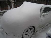 Winter Z-snowy-z.jpg