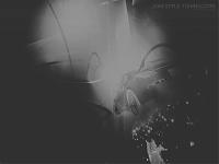 Post up your BEST 350Z Desktop Wallpaper-jdmst_wallpaper_350z-invert-.jpg