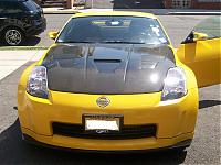 Sunnyday in NJ-100_1103.jpg