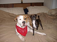Random Pics..Your Z, other toys, kids, girlfriend, wife, your self....-random-051.jpg
