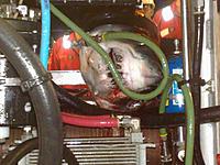 Random Pics..Your Z, other toys, kids, girlfriend, wife, your self....-shark2.jpg