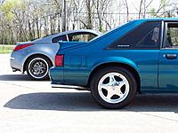Saturday Pics-059.jpg