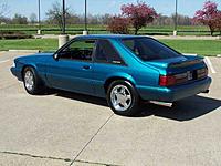 Saturday Pics-079.jpg