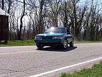 Saturday Pics-093.jpg