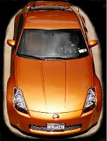 Pretty Cool Pic-roofcar1.jpg