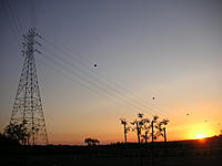 Sunset on the Bluffs-pict0049.jpg