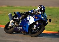 Say Cheese!-01r1_blu_6-01.jpg