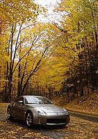 Fall Colors Pic-dragon-2.jpg