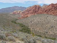 RED ROCK Scenic Drive-vegas-135.jpg