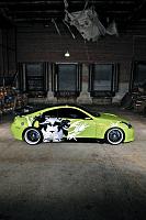 I got a Pet-leo_nyc-31.jpg