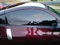 a few pics-tint.jpg