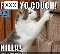 The "Look what i got TODAY!" Thread! Post them up guys!-fkyocouch128594185143576086-1.jpg