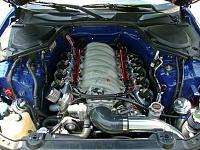 Engine Bay Dress Up Gallery-249495_10150625110825445_4761211_n.jpg