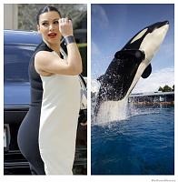Your Vehicles As They Sit Now-kim-kardashian-vs-killer-whale-who-wore-it-better.jpg
