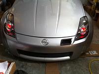 thought id introduce me z!-img_2345.jpg