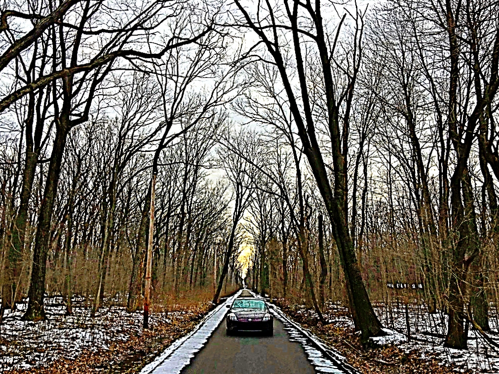 Name:  023_zpsublxkqg1.jpg
Views: 81
Size:  1.14 MB