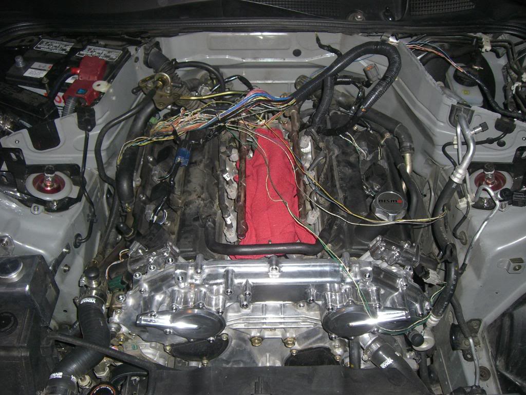 Name:  CIMG8872.jpg
Views: 777
Size:  141.0 KB