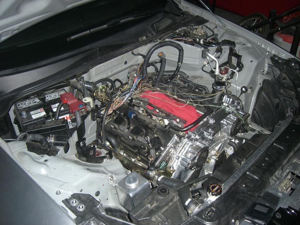 Name:  CIMG8874.jpg
Views: 747
Size:  138.4 KB