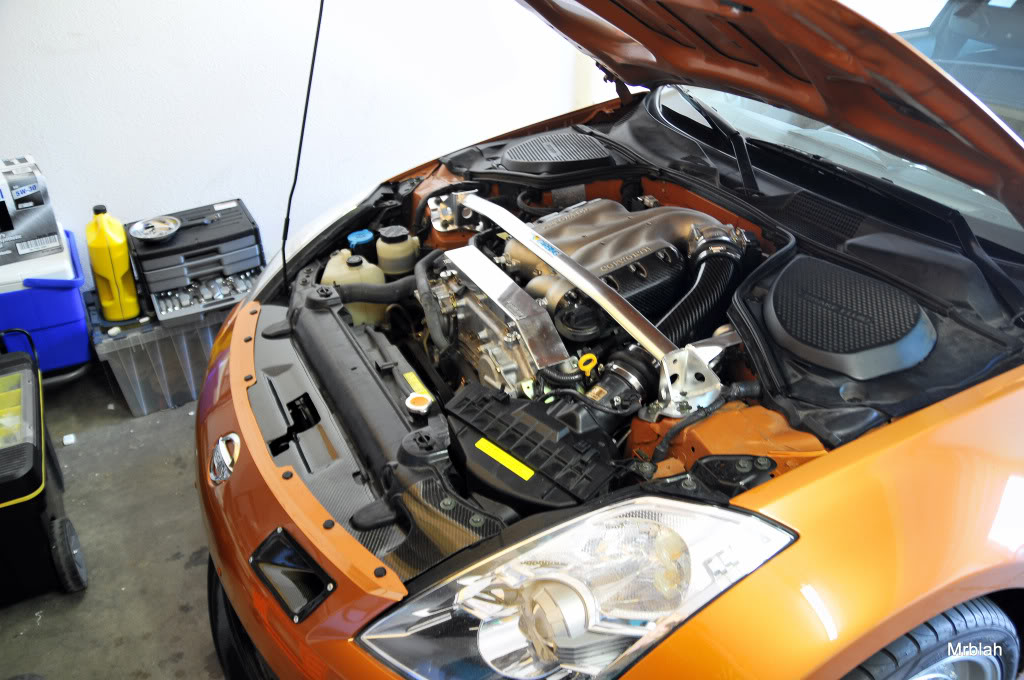 Name:  DSC_4199.jpg
Views: 779
Size:  146.7 KB