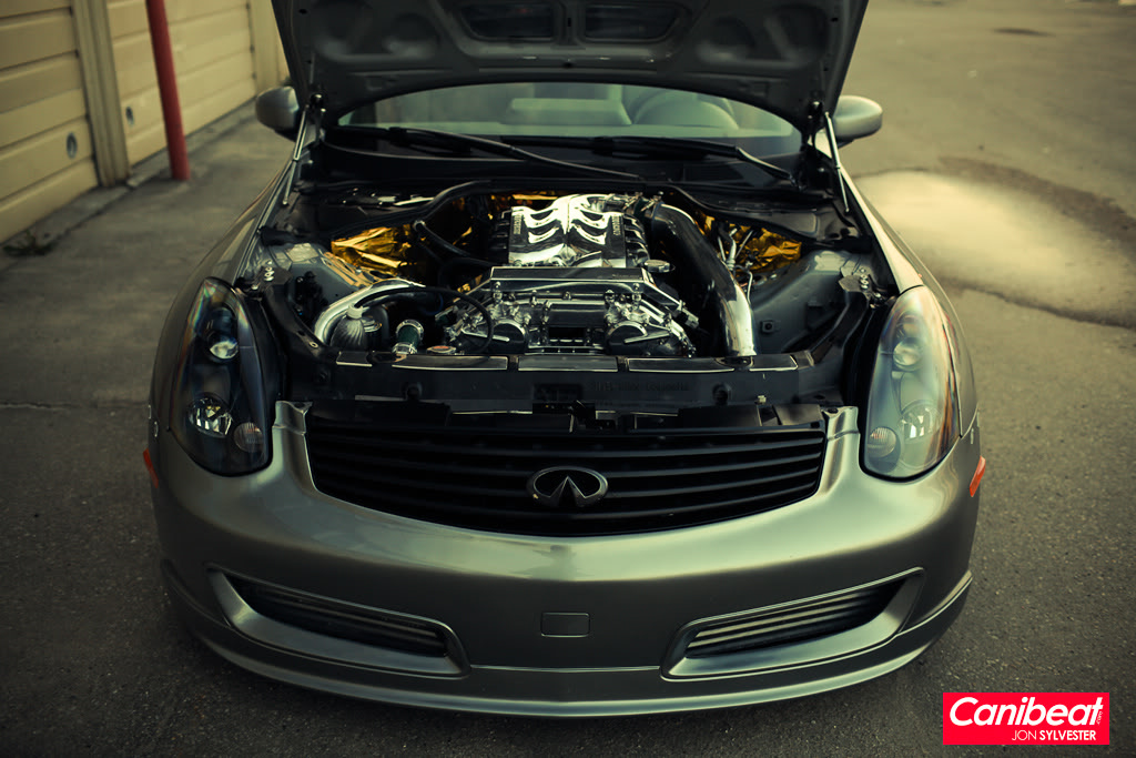 Engine Bay Dress Up Gallery Page 24 Nissan 350Z and