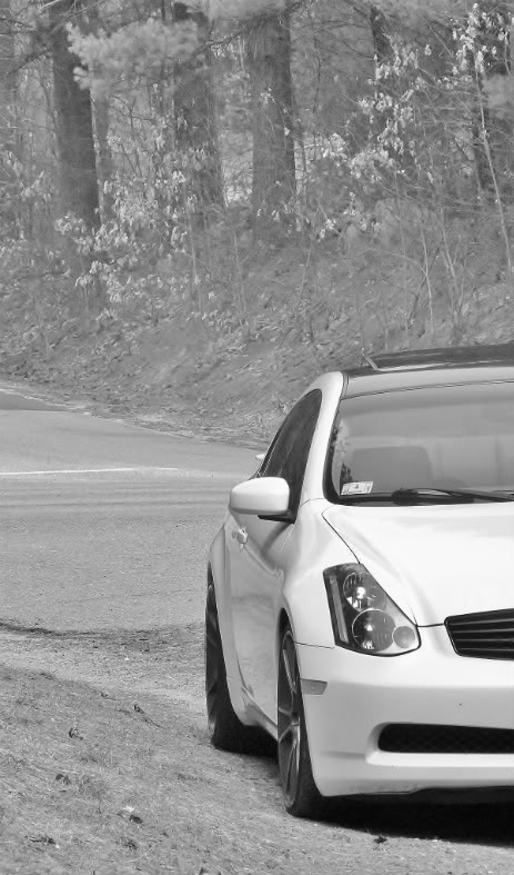 Name:  P1010301bw.jpg
Views: 237
Size:  91.7 KB