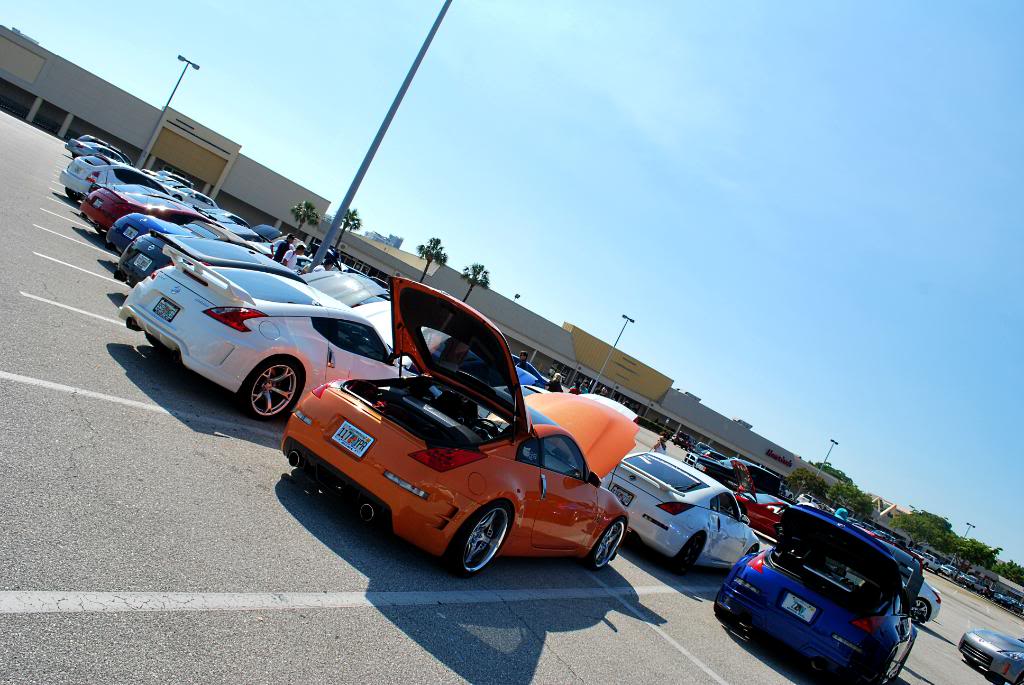 Name:  DSC_0344-1.jpg
Views: 170
Size:  111.2 KB