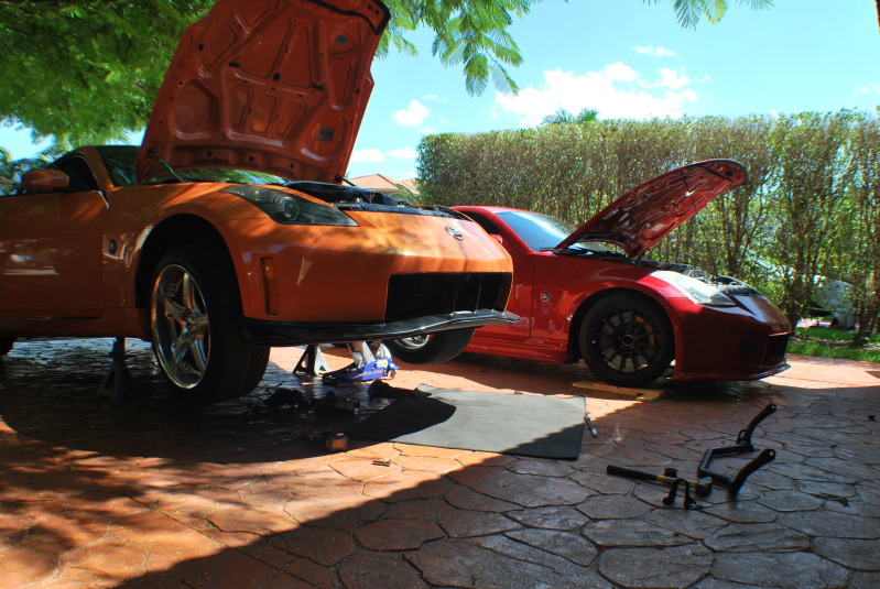 Name:  d534e548.jpg
Views: 114
Size:  179.4 KB