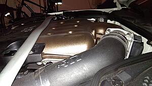 Zswickliffe's Build-7ymbw6kl.jpg