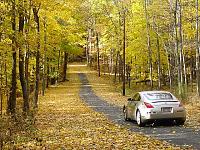 My pics...-350z_treeline.jpg