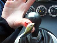 Random Pics..Your Z, other toys, kids, girlfriend, wife, your self....-hook3.jpg